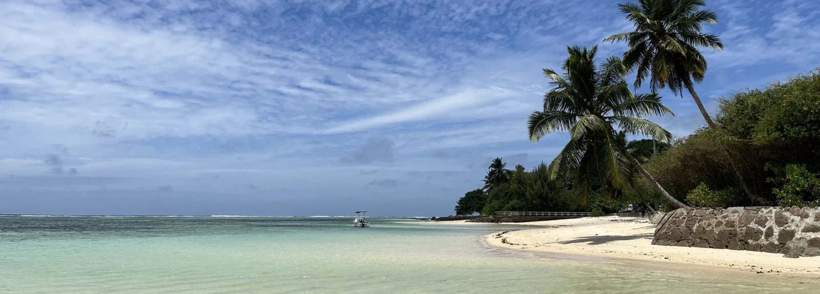 A tropical beach with palm trees and a turquoise lagoon